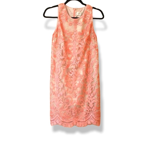 Eliza J  Dress Lace Sleeveless - Picture 1 of 8